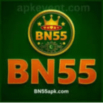 BN55 Game