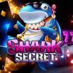 Shark 777 Casino