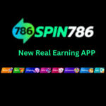 Spin 786 Game